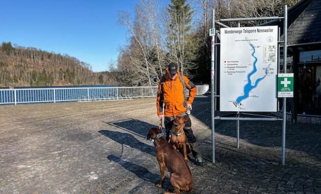 nonnweiler-dam-–-circular-lake-trail-with-a-dog