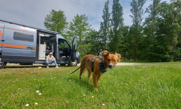 road-trip-with-dog-through-france-and-italy